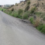 Blandón en carretera.